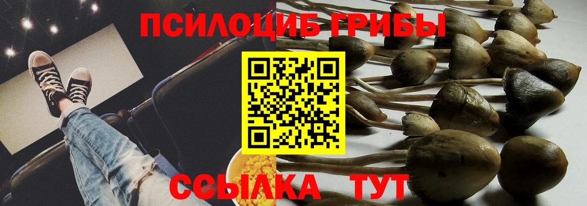Галлюциногенные грибы Magic Shrooms  Псилоцибиновые грибы MAGIC MUSHROOMS  Вход с VPN  Грязи 
